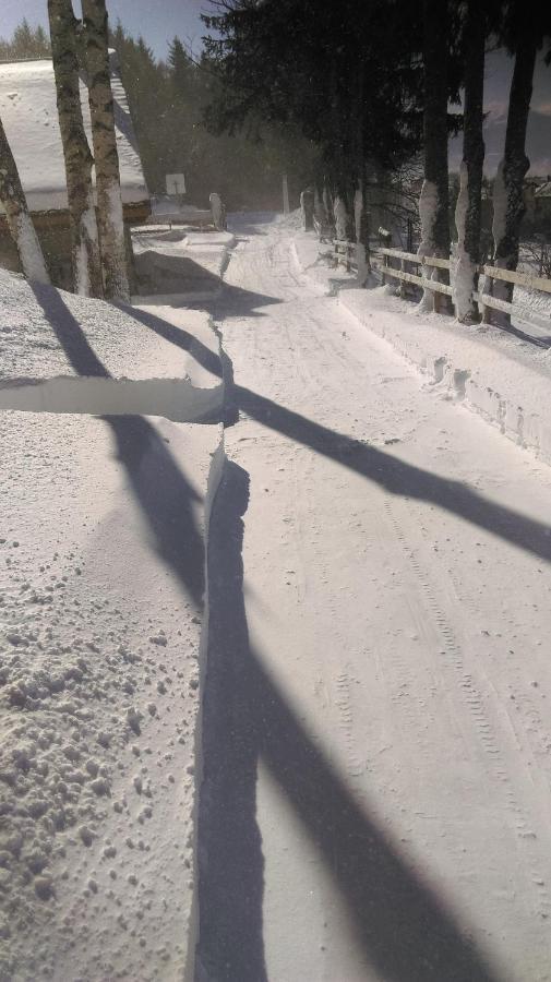 Chalet Les Sorbiers Egat エクステリア 写真